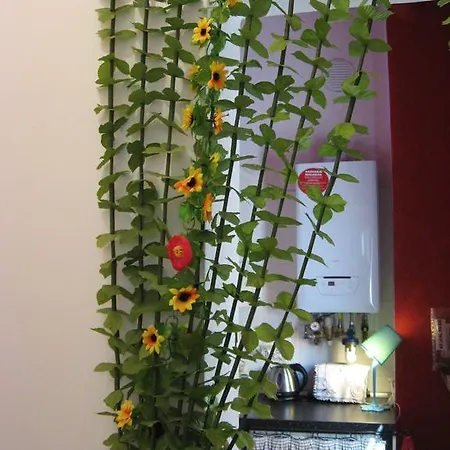 Apartman Ca Allegra *